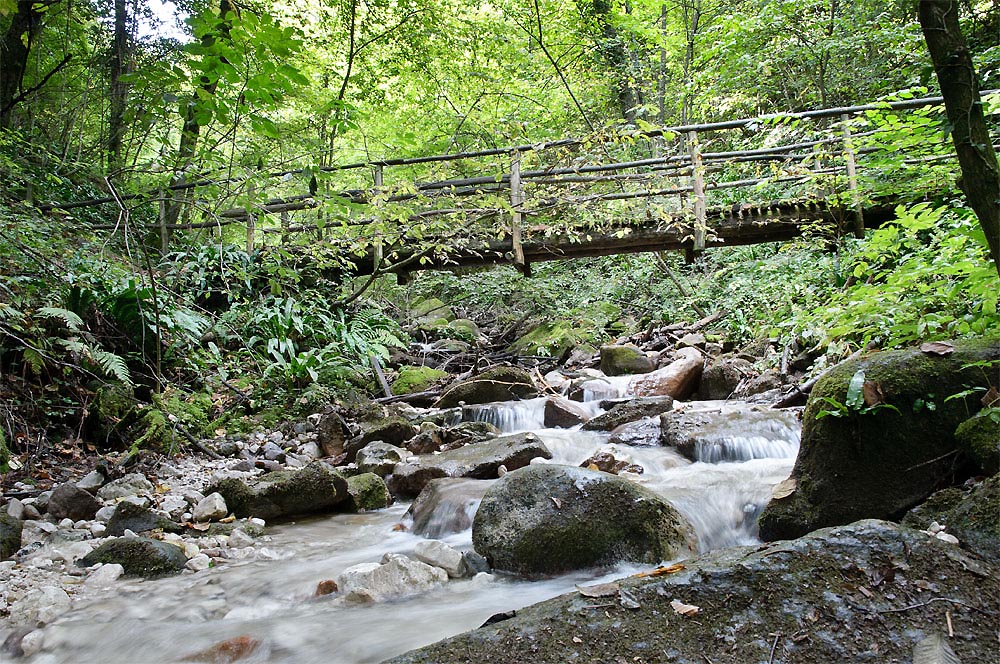 In der Rastenbachklamm