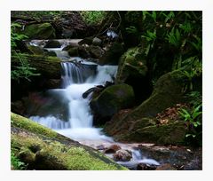 In der Rastenbachklamm