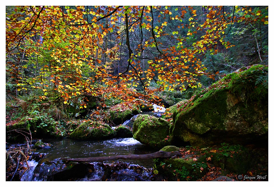 In der Ravennaschlucht