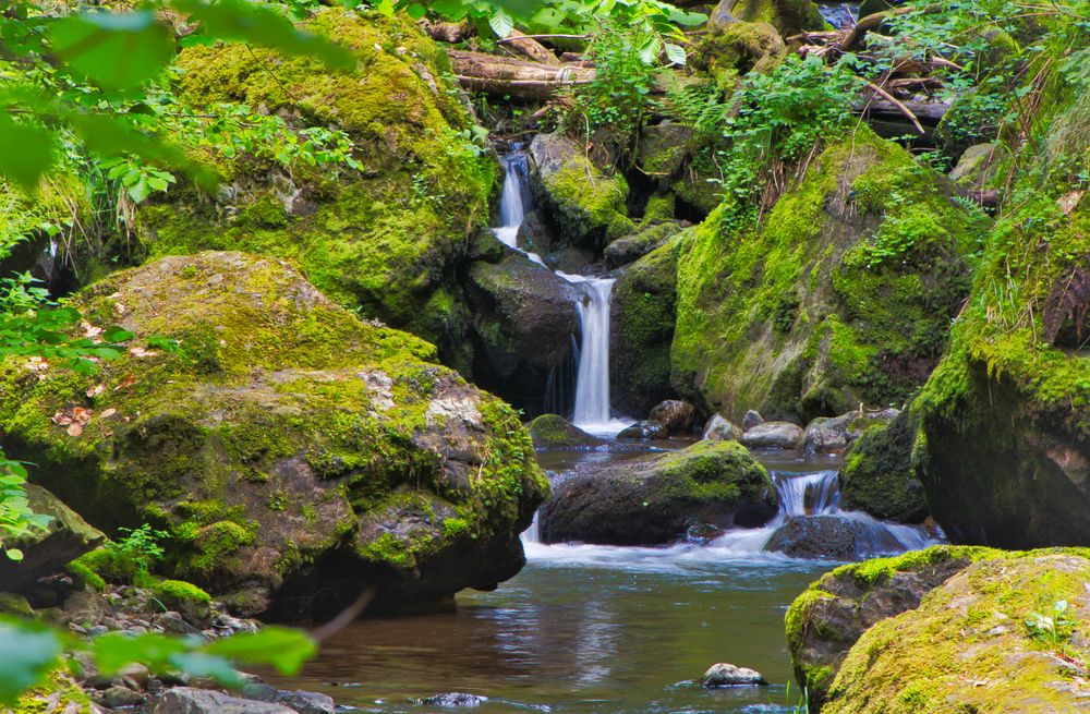 in der Ravennaschlucht Foto & Bild | world, natur, landschaft Bilder