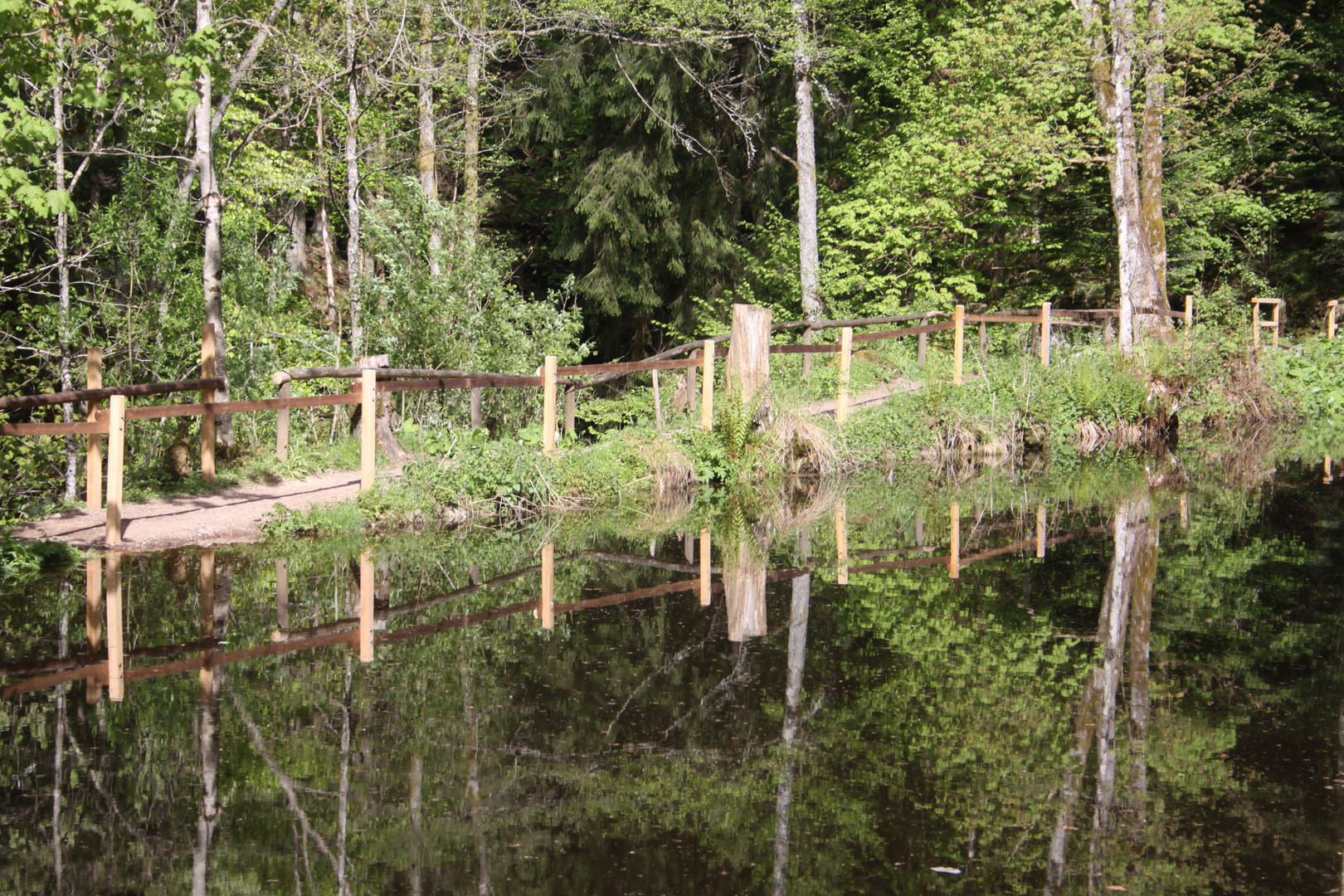 In der Ravennaschlucht, Spiegelung