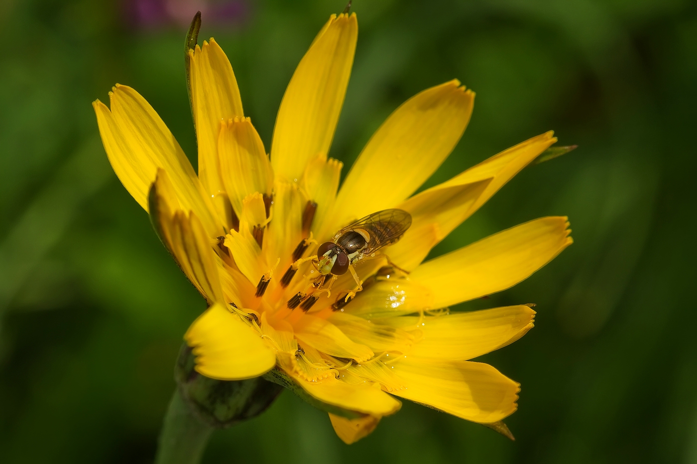 In der Regenpause