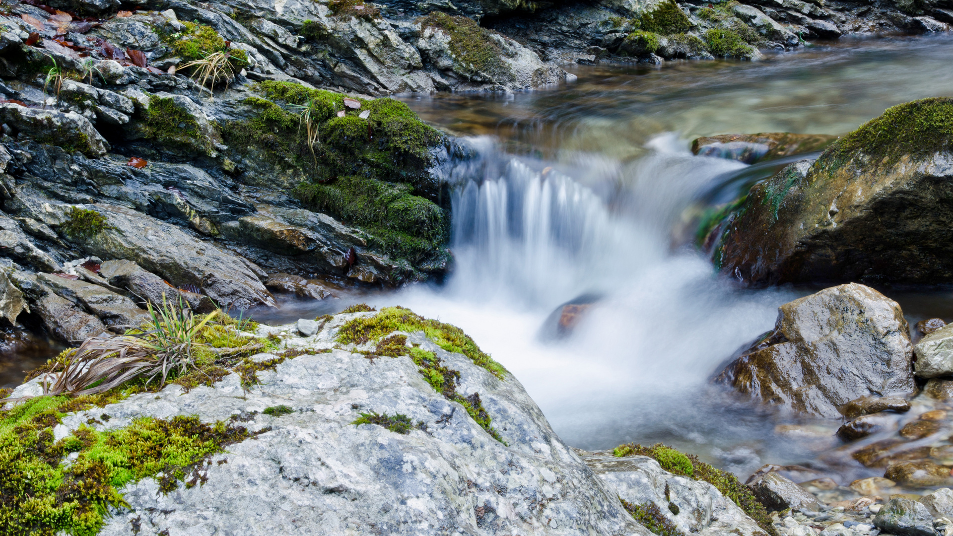 In der Reichenbachklamm