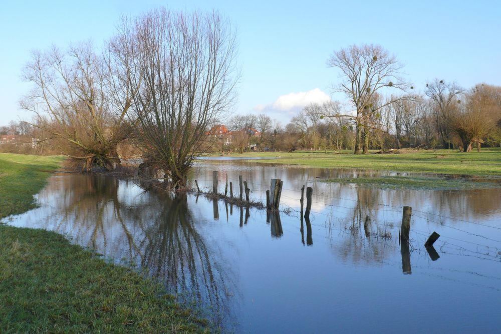 In der Rheinaue bei Düsseldorf-Urdenbach (1)