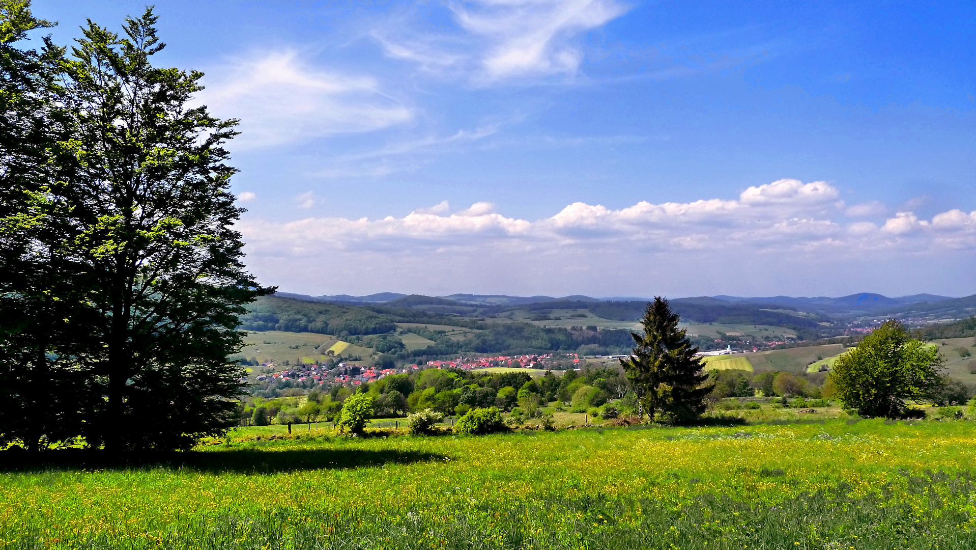 In der Rhön