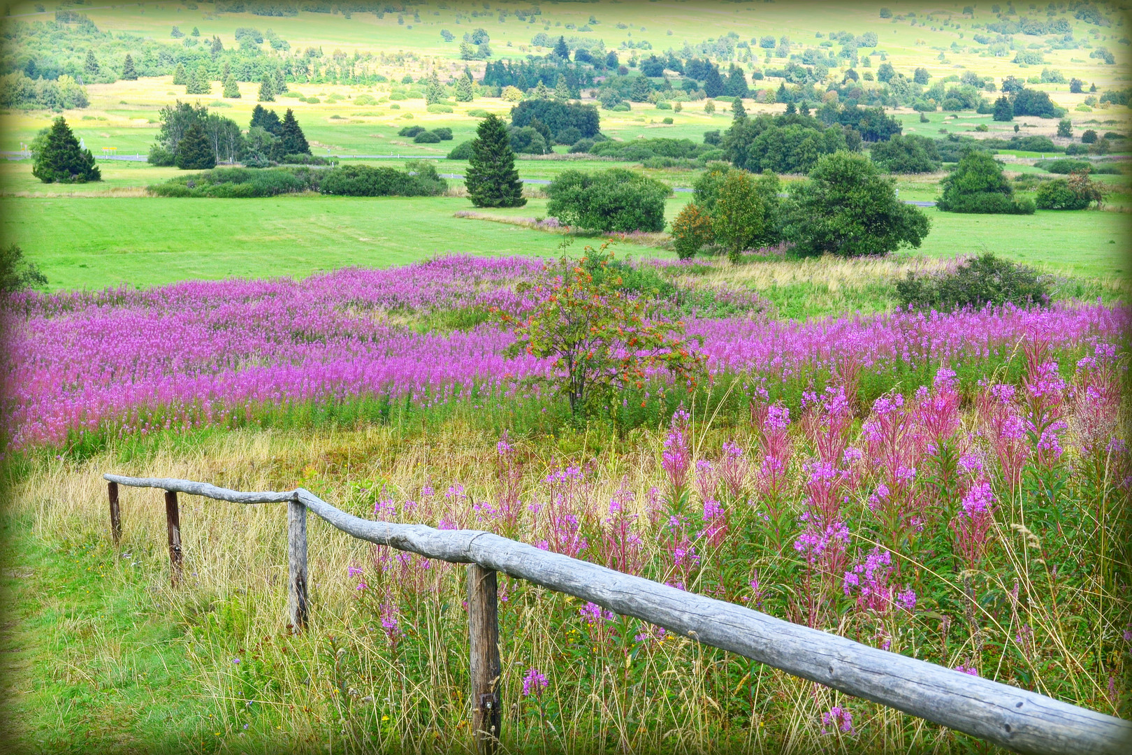 in der Rhön da isses schön ;-)