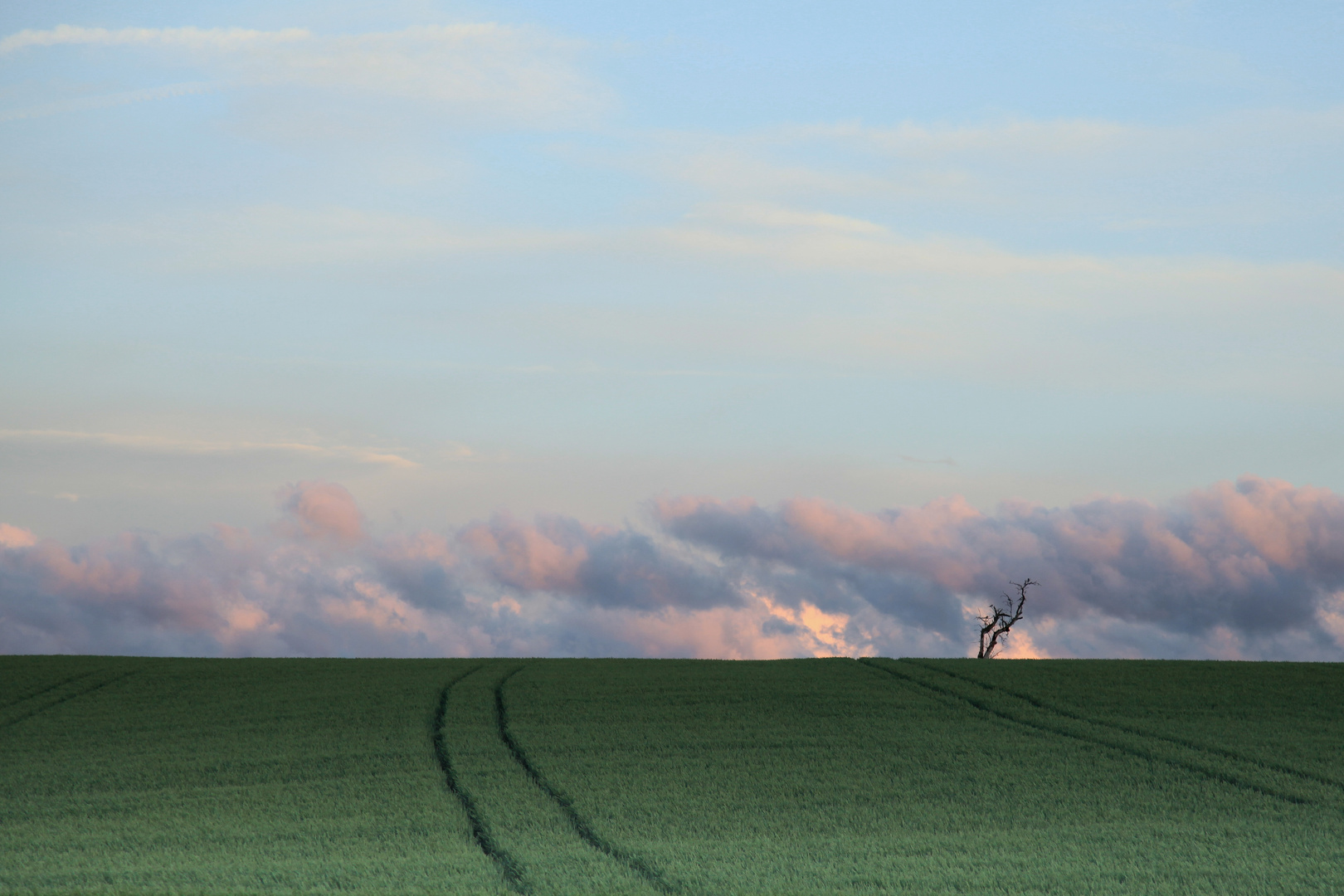 in der rhön