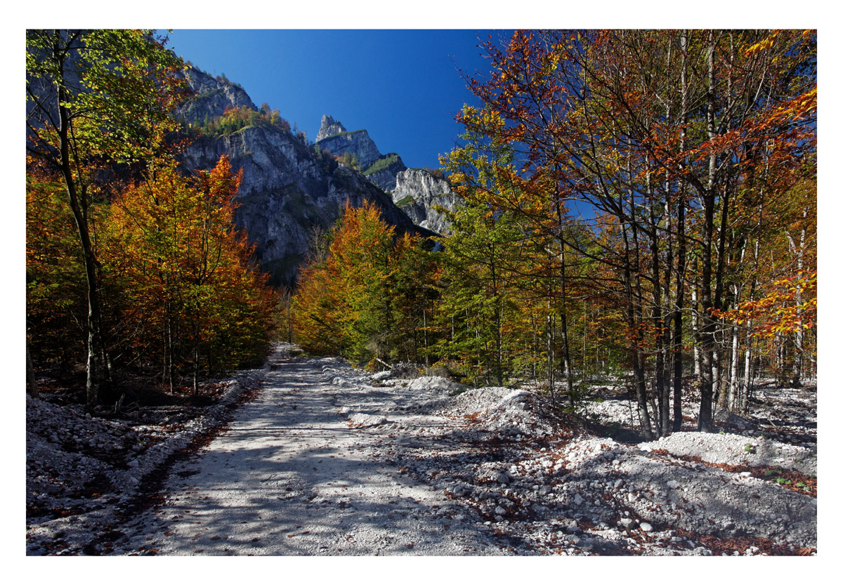 In der Röll Almsee-3