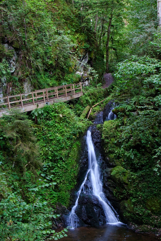 in der Rötenbachschlucht