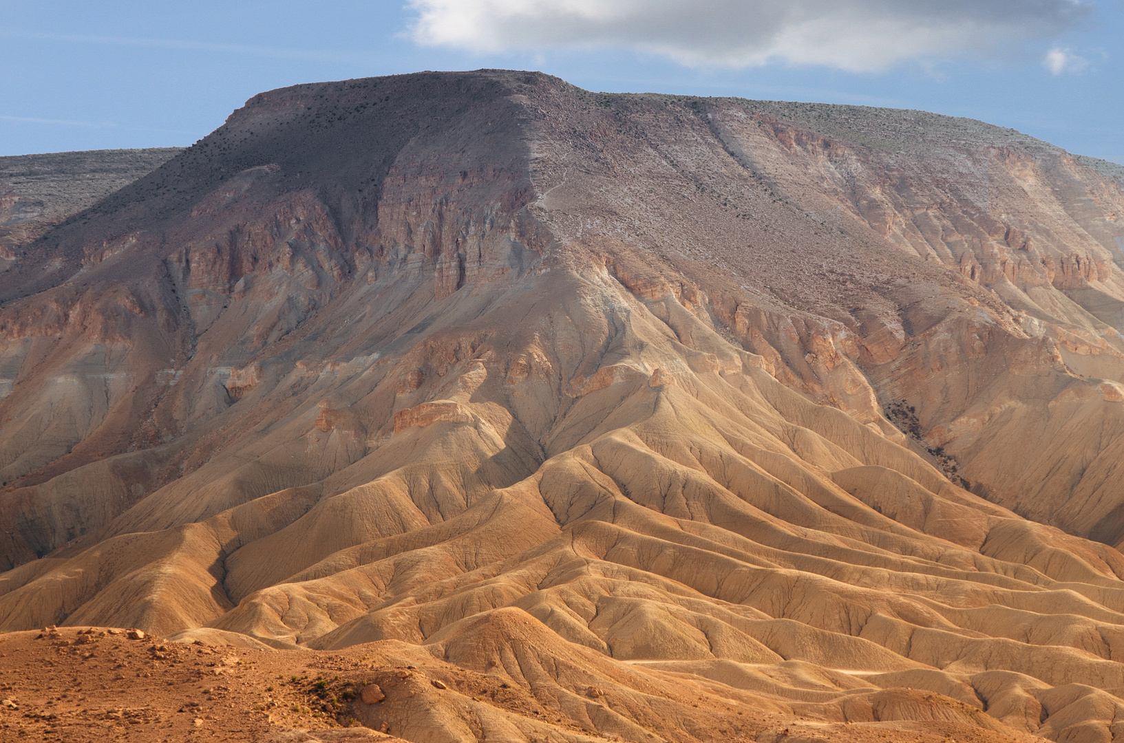 ~~ in der ruhe der negev ~~