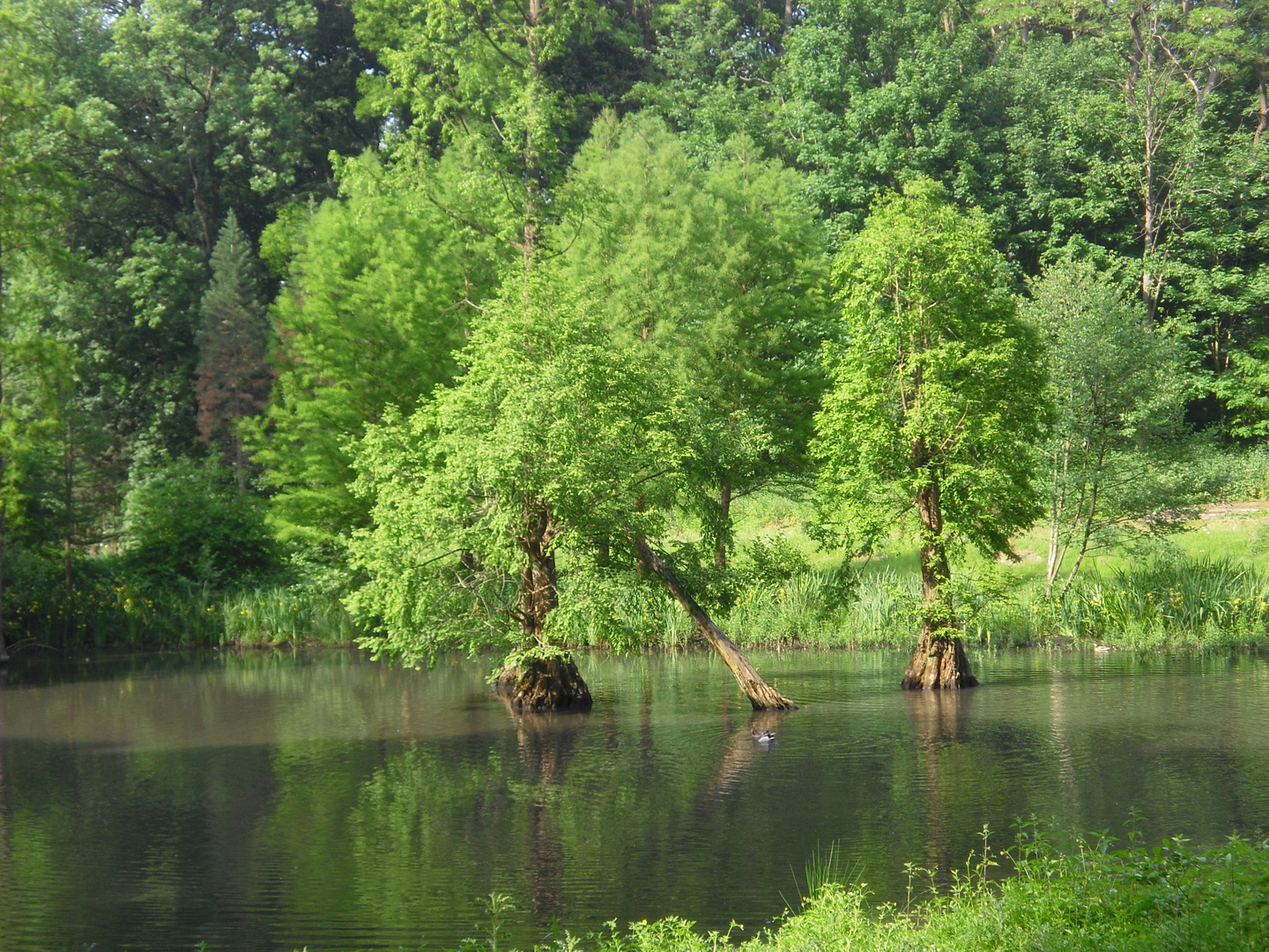 In der Ruhe liegt die Kraft