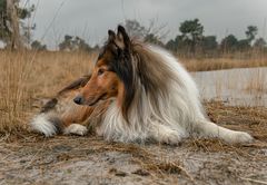 In der Ruhe liegt die Kraft