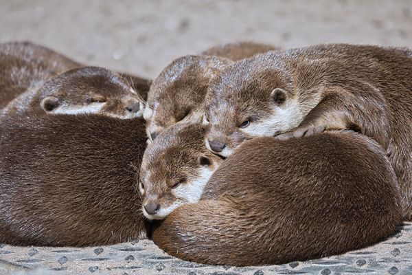 In der Ruhe liegt die Kraft