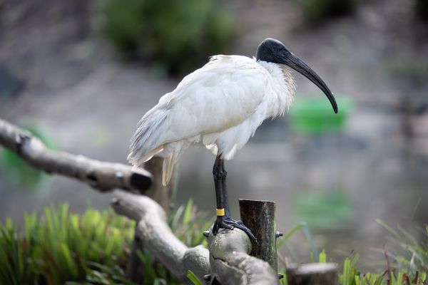 In der Ruhe liegt die Kraft