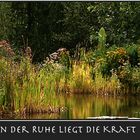 In der Ruhe liegt die Kraft