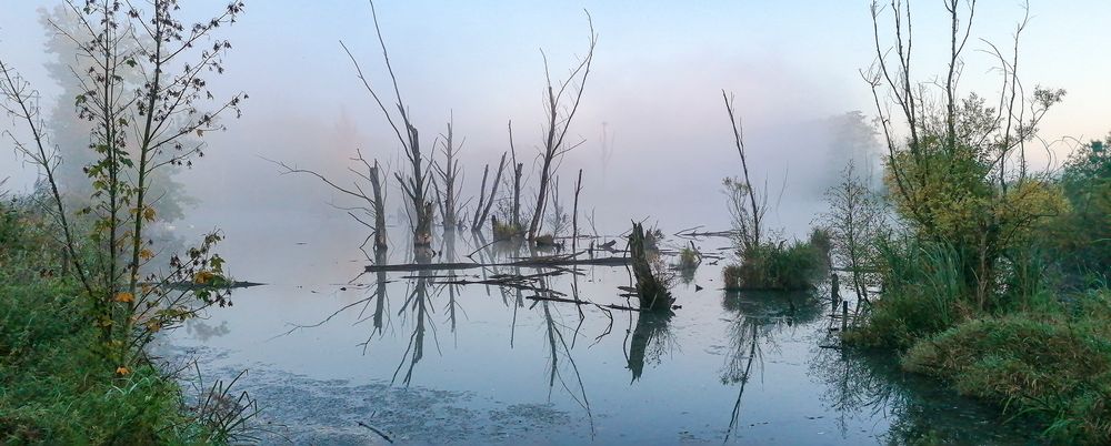 In der RUHE liegt die KRAFT