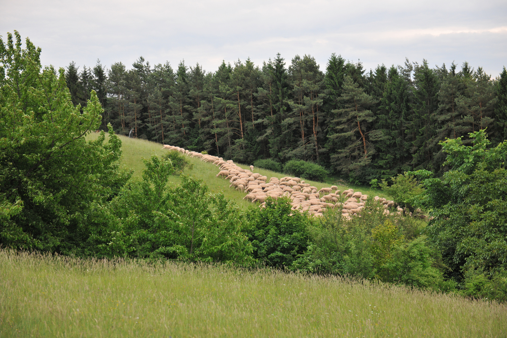 In der Ruhe liegt die Kraft