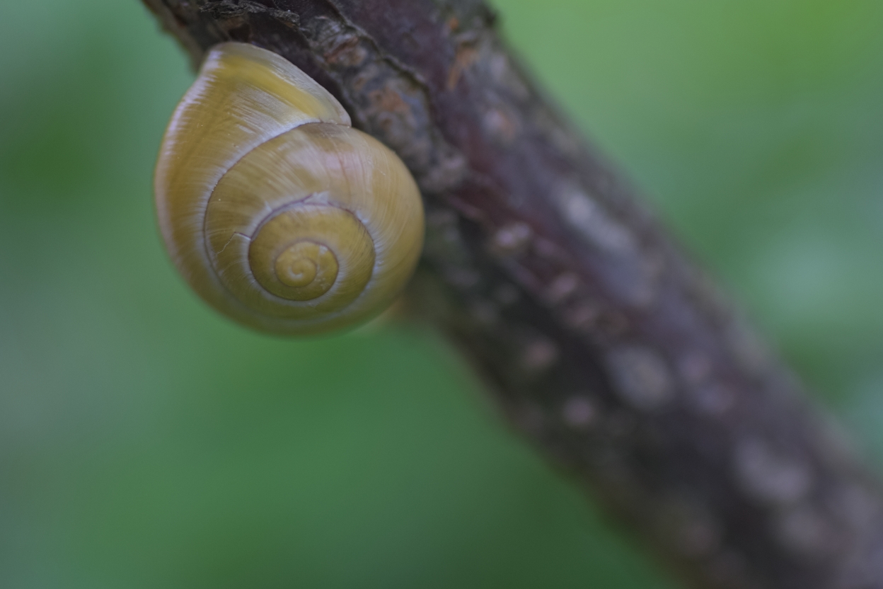 In der Ruhe liegt die Kraft