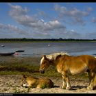 In der Ruhe liegt die Kraft - In peace lies strength