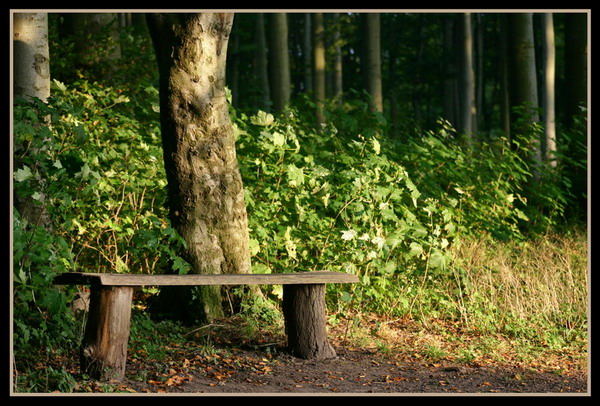 In der Ruhe liegt eine menge Kraft