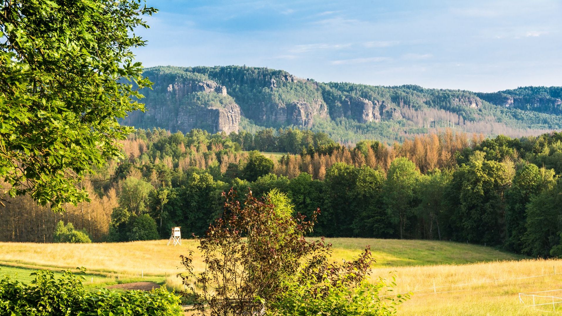 In der Sächsischen Schweiz