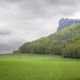 In der Schsischen Schweiz - am Fusse des Liliensteins