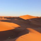In der Sahara