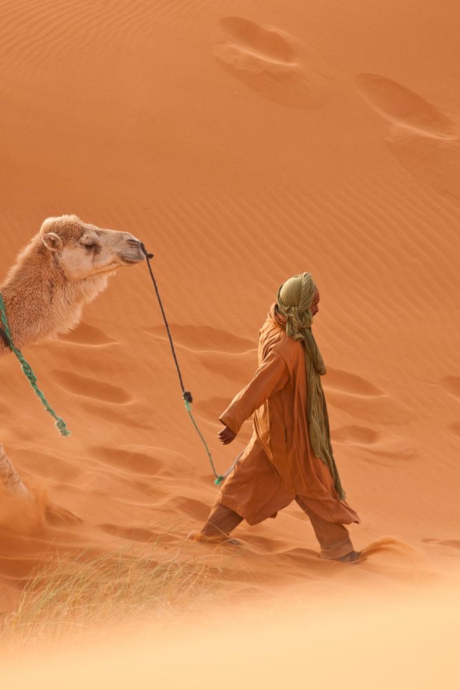 In der Sahara