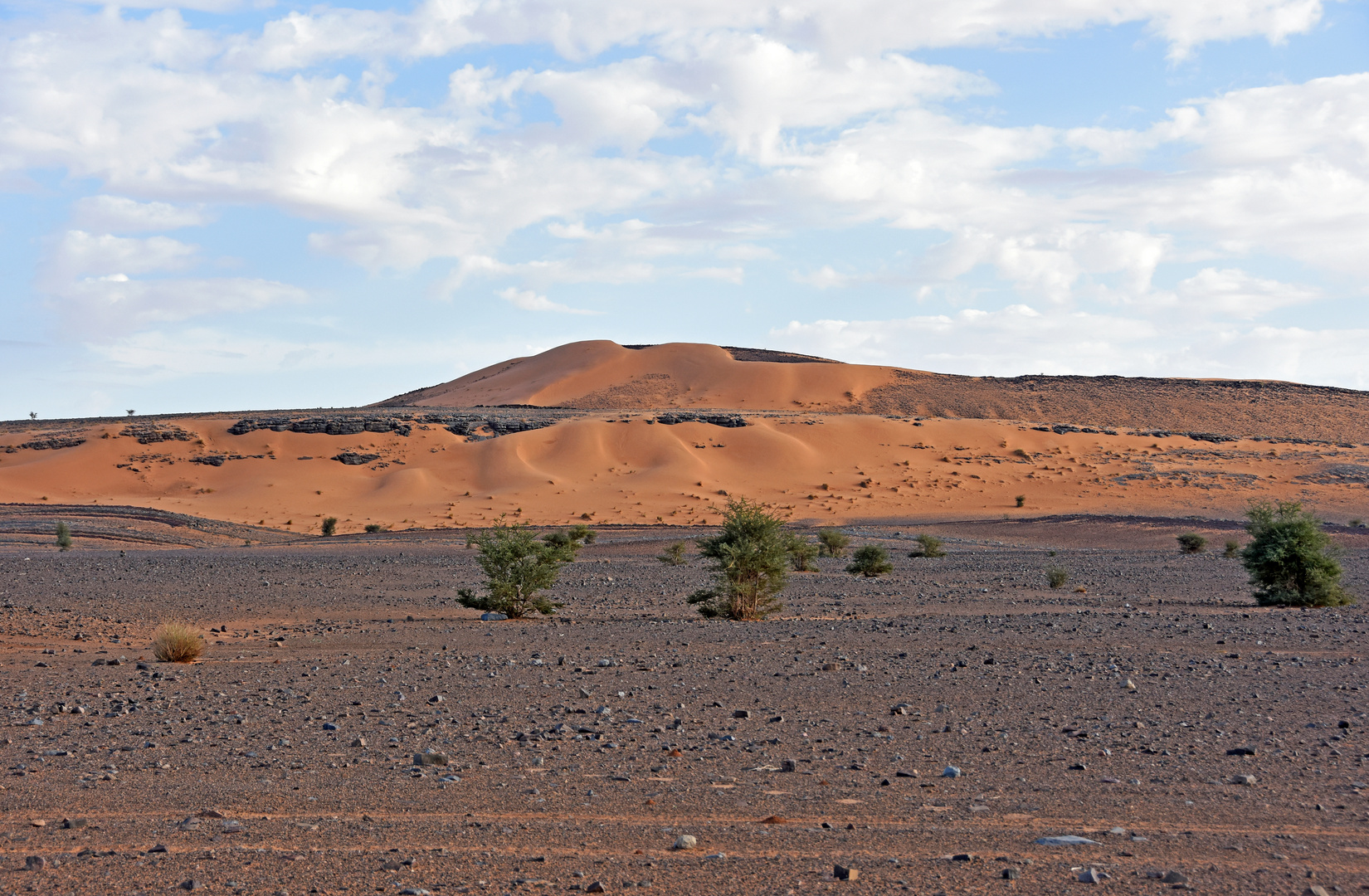 In der Sahara bei Tafraout Hassi Fougani im Süden Marokkos