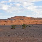 In der Sahara bei Tafraout Hassi Fougani im Süden Marokkos