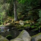 In der Saußbachklamm bei Waldkirchen / Bayerischer Wald