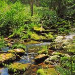 ... in der Saußbachklamm bei Waldkirchen