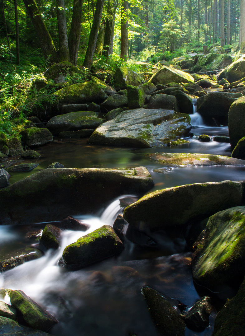 in der saussbachklamm, waldkirchen, bay.wald...