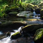 in der saussbachklamm, waldkirchen, bay.wald...