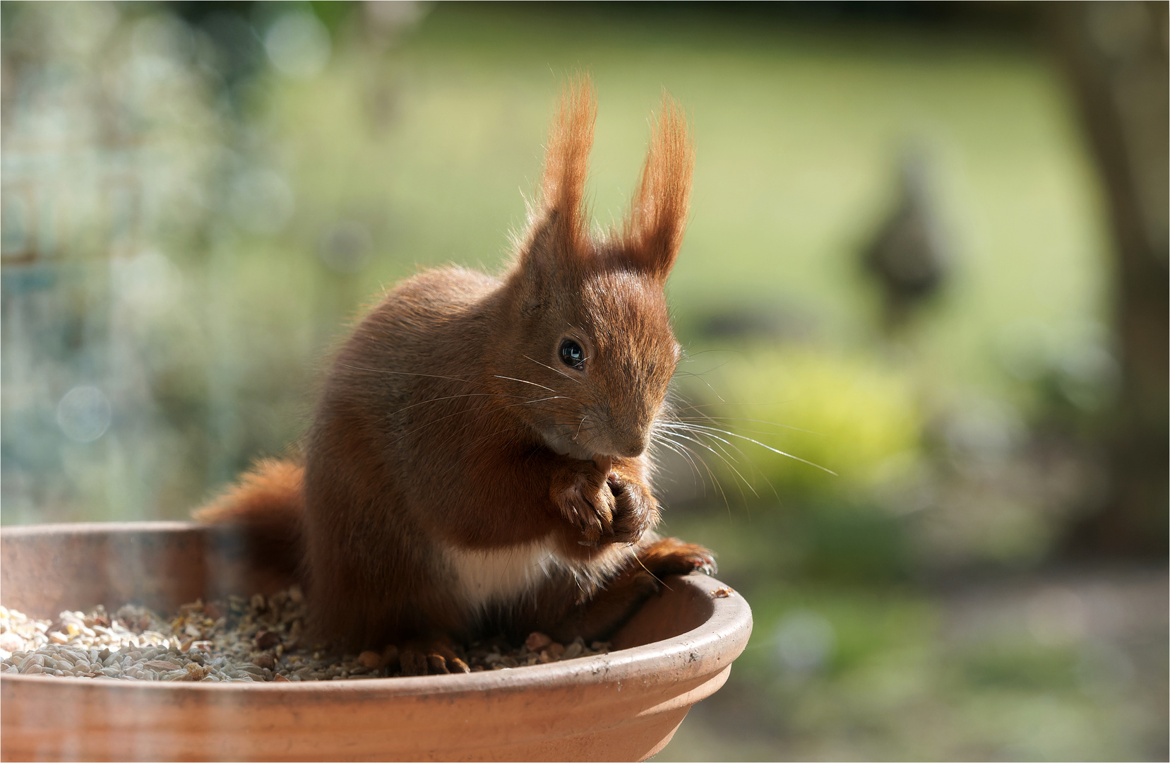 in der Schale ist gut muffeln  .....