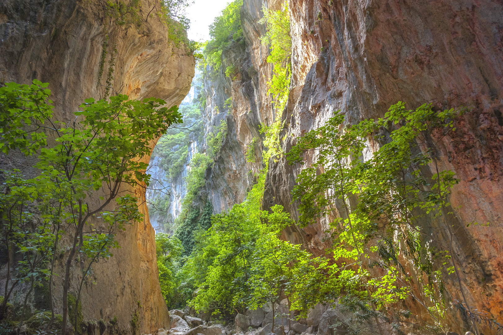 In der Schlucht