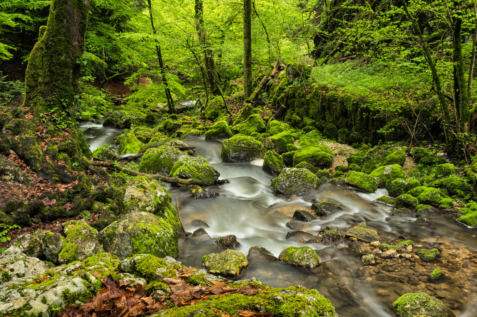 In der Schlucht