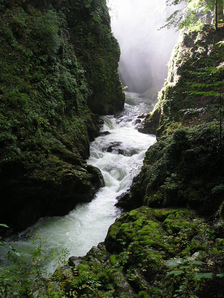 In der Schlucht