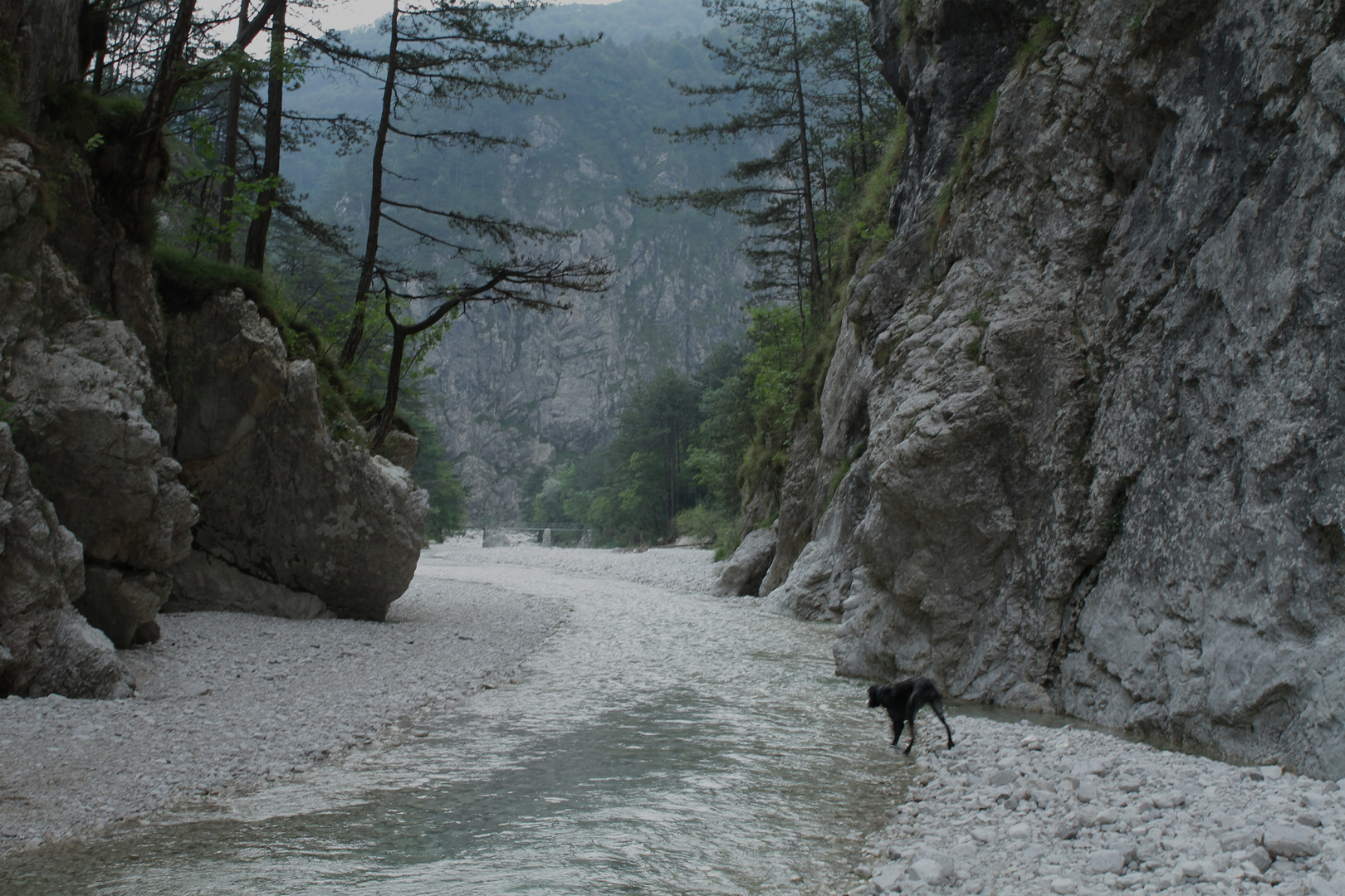 in der Schlucht