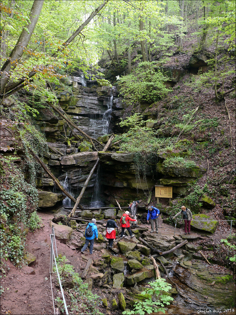 In der Schlucht