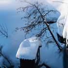 In der Schlucht.   .DSC_2998