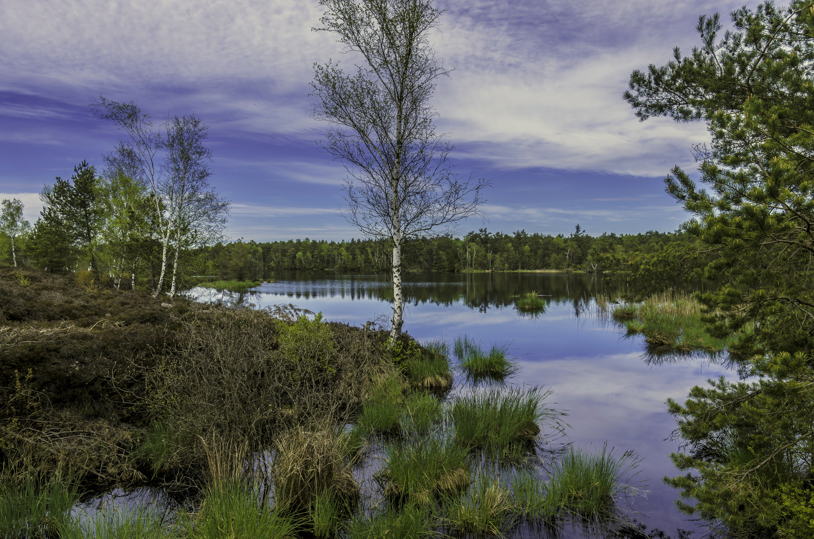 In der Schönramer Heide