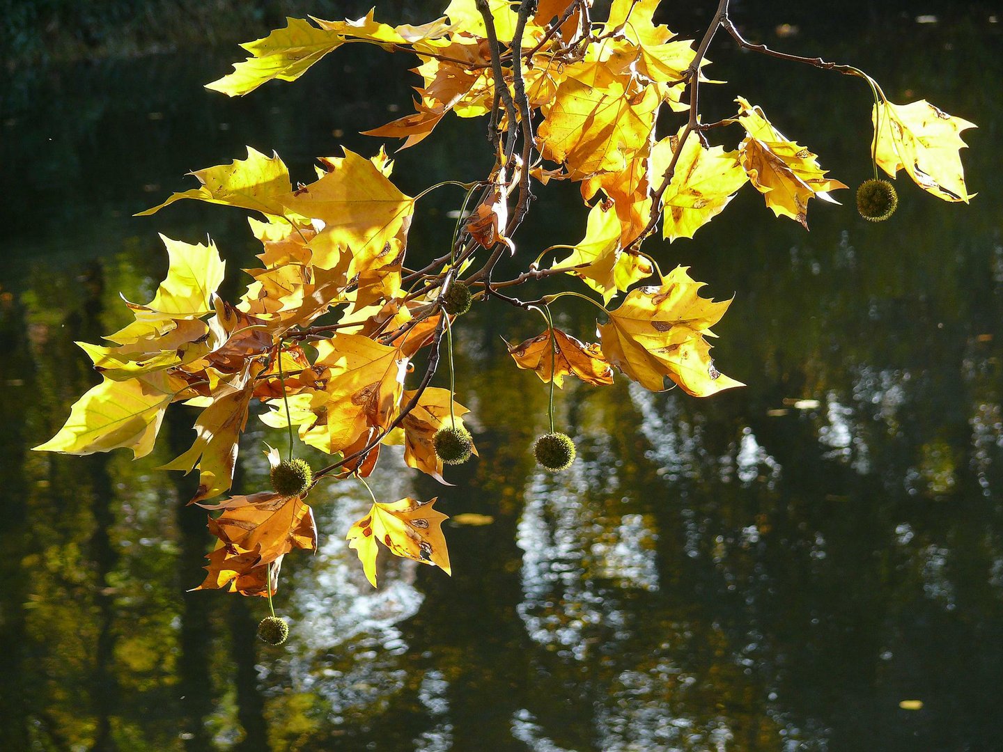 in der Schwebe