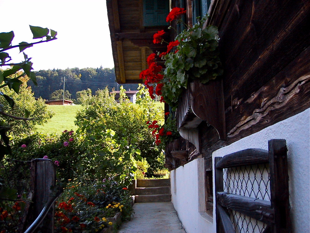 In der Schweiz von docskh 