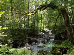 ...in der Seisenberg-Klamm (3)