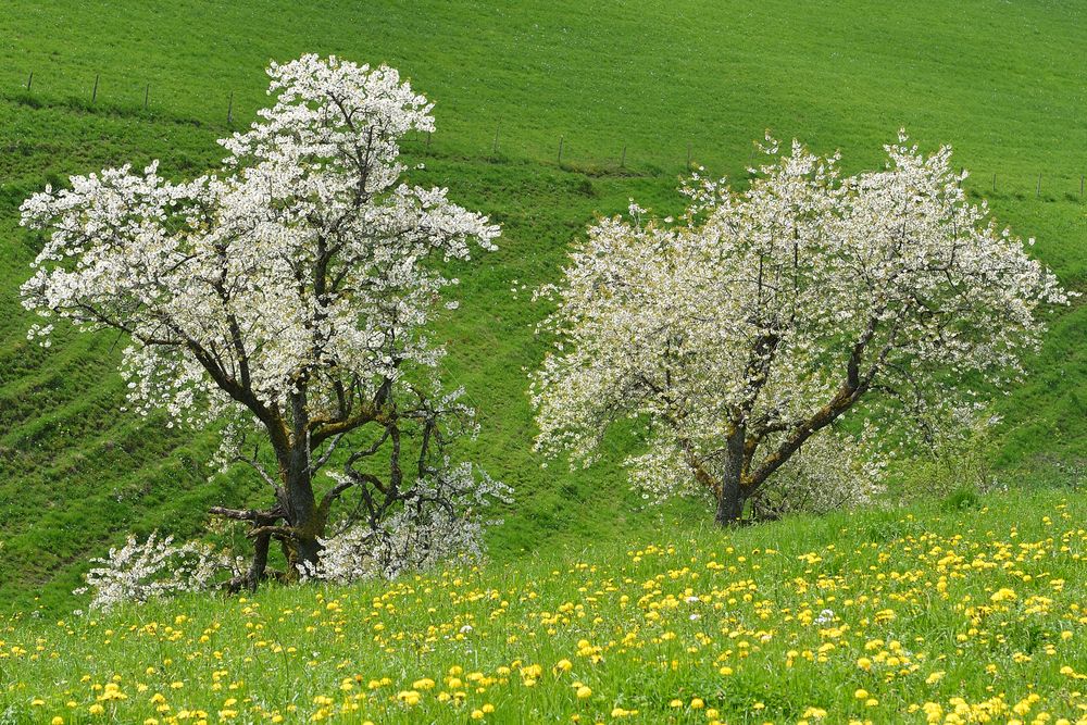 In der Senke der Landschaft