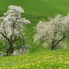 In der Senke der Landschaft