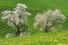 In der Senke der Landschaft