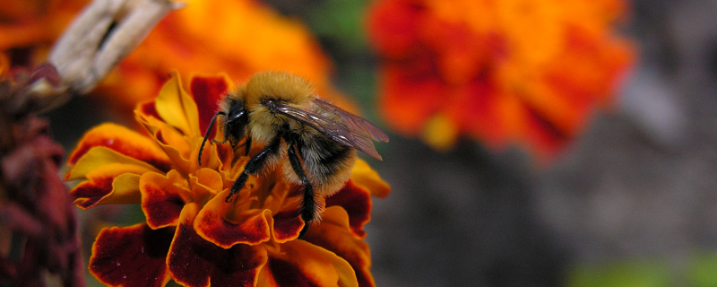 In der Septembersonne