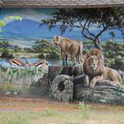 in der Serengeti